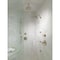 Brizo Charlotte TEMPASSURE THERMOSTATIC SHOWER ONLY T60285-PN - alternate 3
